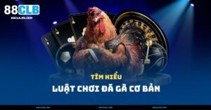 Luật chơi đá gà cơ bản