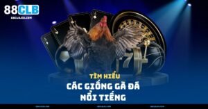 Các Giống Gà Đá Nổi Tiếng Nhất – Gà Nòi, Gà Tre