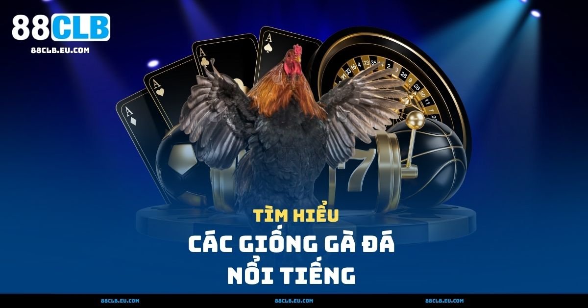Các Giống Gà Đá Nổi Tiếng Nhất – Gà Nòi, Gà Tre