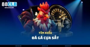 Đá Gà Cựa Sắt – Hình Thức Đá Gà Phổ Biến Nhất Hiện Nay
