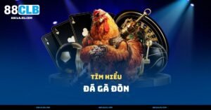 Đá Gà Đòn – Môn Thể Thao Truyền Thống Của Người Việt