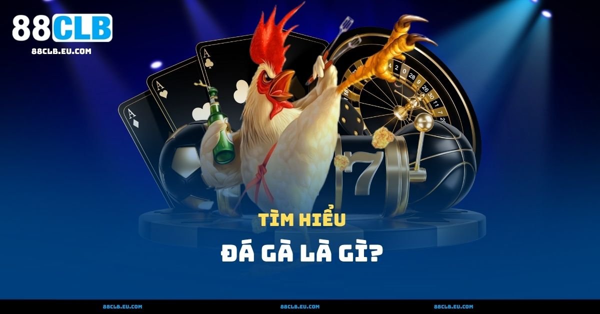 Đá Gà Là Gì? Nguồn Gốc Và Luật Chơi Quan Trọng