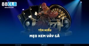 Mẹo Xem Vảy Gà – Nhận Biết Gà Chiến Trong 1 Phút